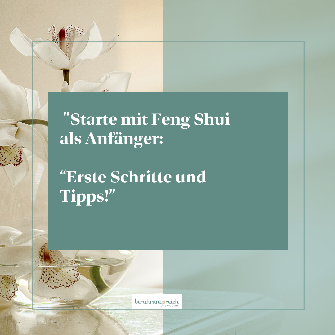 Vorschaubild zum Beitrag: "Starte mit Feng Shui als Anfänger: Erste Schritte und Tipps!"